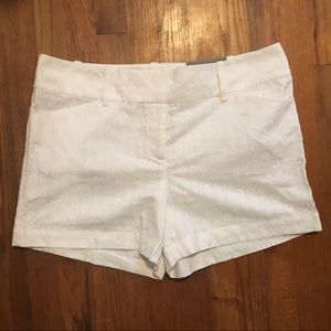 NWT Ann Taylor Shorts Sz 12